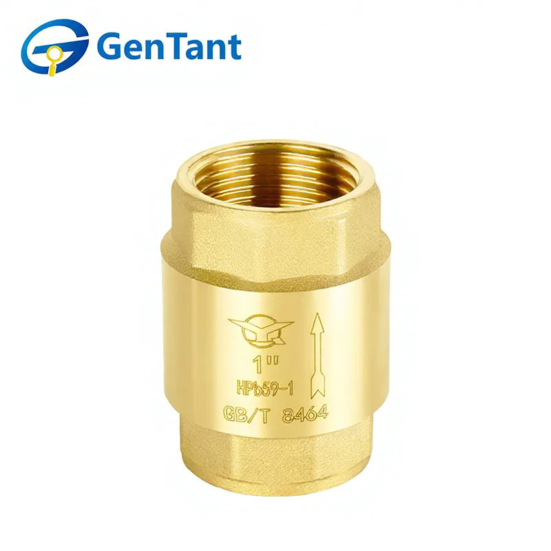 In che modo una valvola di ritegno a molla migliora l'efficienza del sistema?