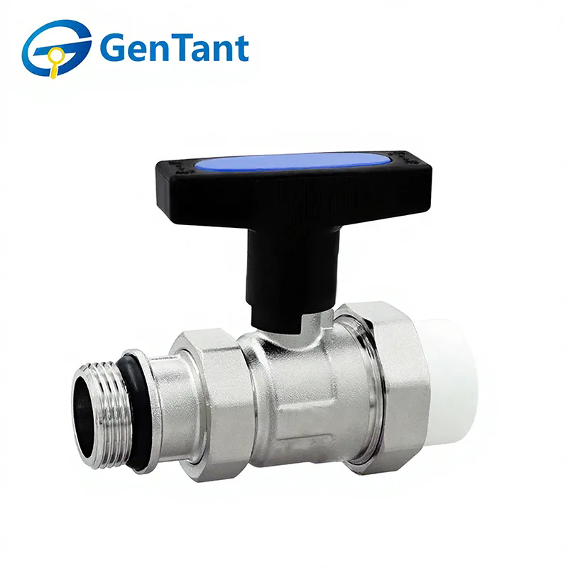 Come funziona una valvola di ritorno a gambo lungo?