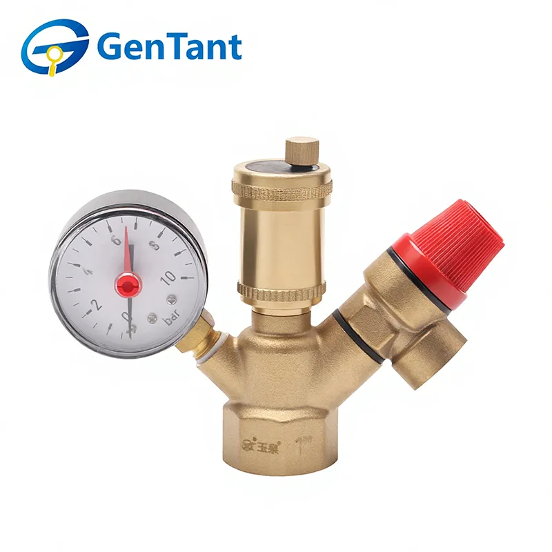 Gruppo Sicurezza Caldaia