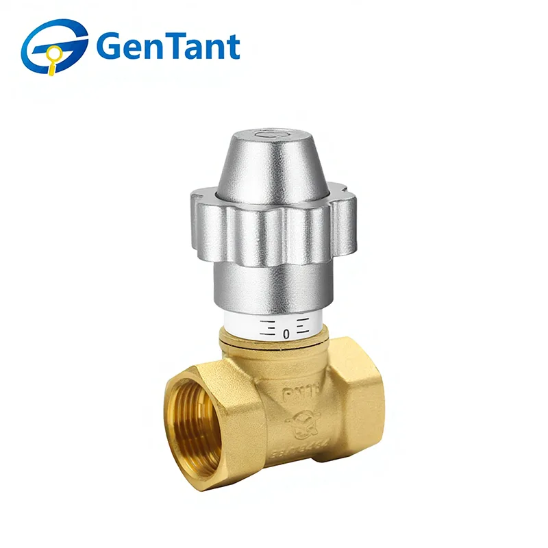 Valvola a globo di controllo del flusso con serratura magnetica
